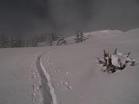 Photo 003 Une trace dans la peuf, sapins chargés de neige, le brouillard qui se déchire ! Encore une belle journée !